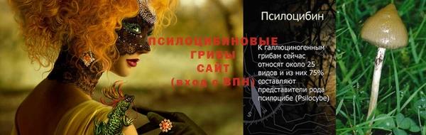 первитин Арсеньев